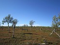 kesä 2011 356